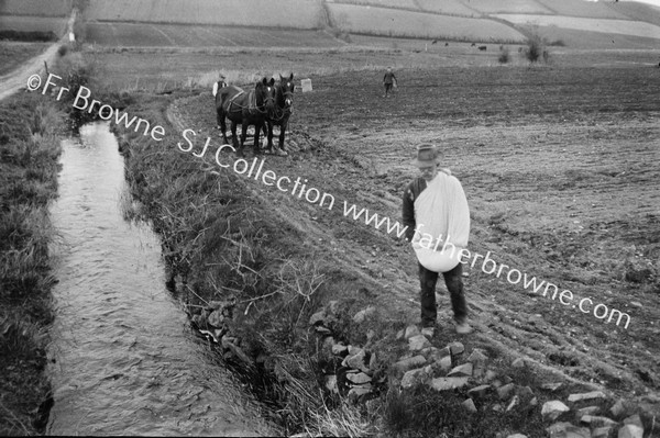 SOWING IN THE OLDWAY : THE SOWER